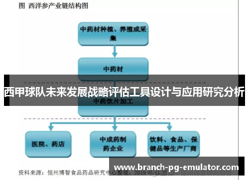 西甲球队未来发展战略评估工具设计与应用研究分析 西甲球队未来发展战略评估工具设计与应用研究分析