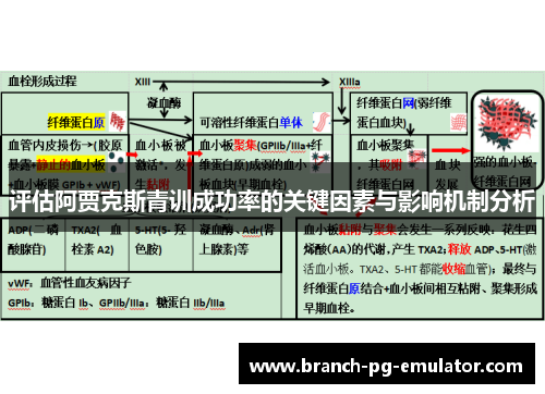评估阿贾克斯青训成功率的关键因素与影响机制分析 评估阿贾克斯青训成功率的关键因素与影响机制分析