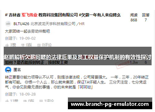 赵鹏解析欠薪问题的法律后果及员工权益保护机制的有效性探讨 赵鹏解析欠薪问题的法律后果及员工权益保护机制的有效性探讨