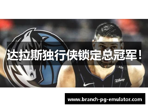 达拉斯独行侠锁定总冠军! 达拉斯独行侠锁定总冠军!