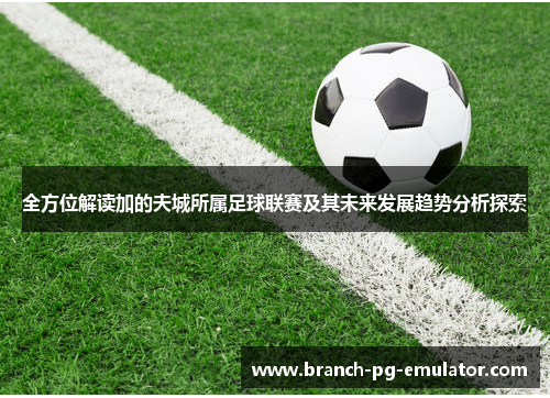 全方位解读加的夫城所属足球联赛及其未来发展趋势分析探索 全方位解读加的夫城所属足球联赛及其未来发展趋势分析探索