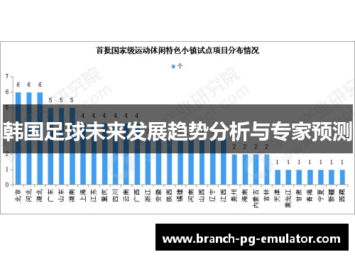 韩国足球未来发展趋势分析与专家预测