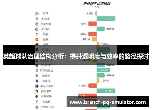 英超球队治理结构分析：提升透明度与效率的路径探讨
