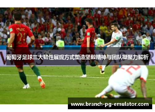 葡萄牙足球三大韧性展现方式塑造坚毅精神与团队凝聚力解析