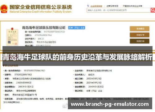 青岛海牛足球队的前身历史沿革与发展脉络解析 青岛海牛足球队的前身历史沿革与发展脉络解析