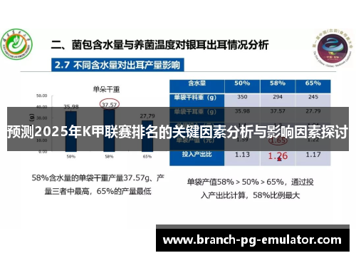 预测2025年K甲联赛排名的关键因素分析与影响因素探讨