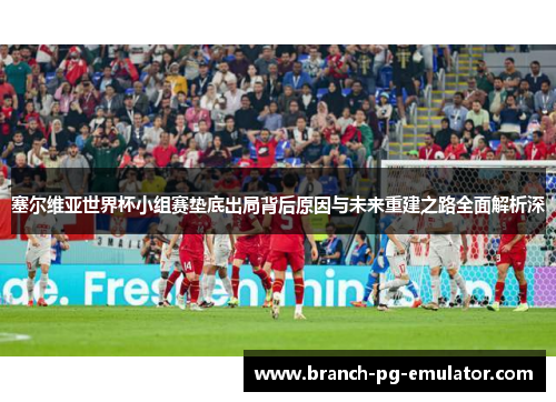 塞尔维亚世界杯小组赛垫底出局背后原因与未来重建之路全面解析深 塞尔维亚世界杯小组赛垫底出局背后原因与未来重建之路全面解析深