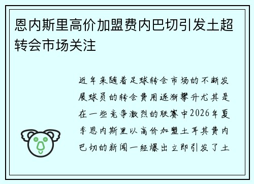 恩内斯里高价加盟费内巴切引发土超转会市场关注