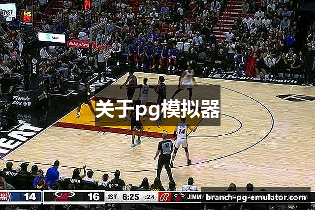 关于pg模拟器